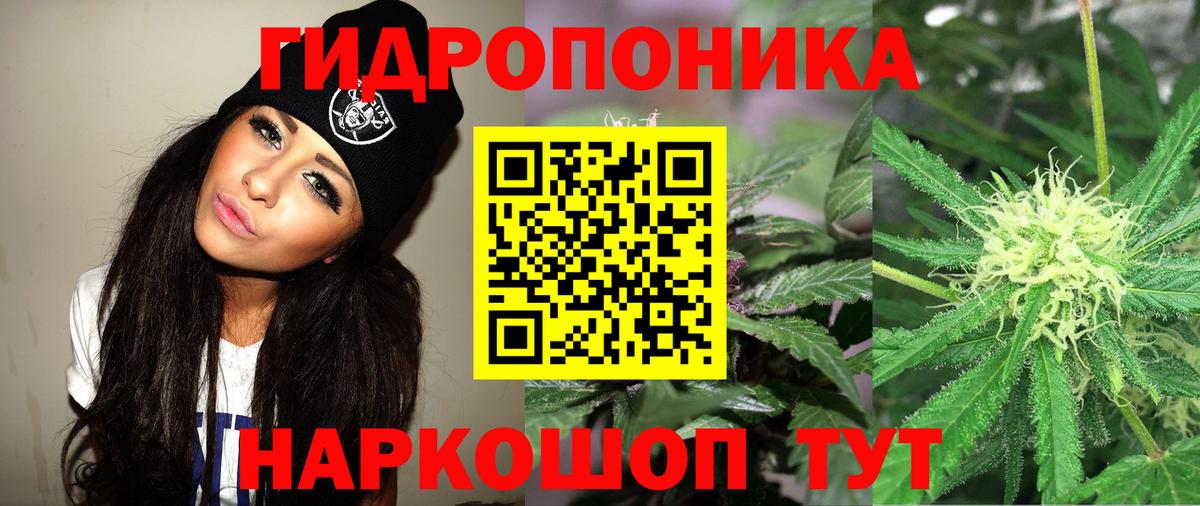 Марихуана конопля Невинномысск